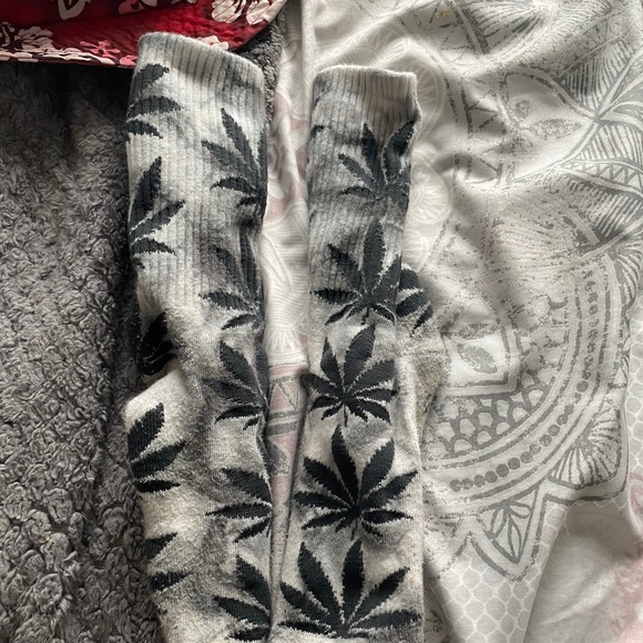 Bundle - Picture 2 of 3